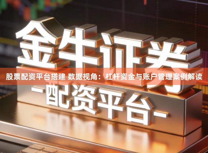 股票配资平台搭建 数据视角：杠杆资金与账户管理案例解读