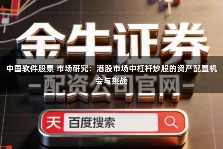 中国软件股票 市场研究：港股市场中杠杆炒股的资产配置机会与挑战