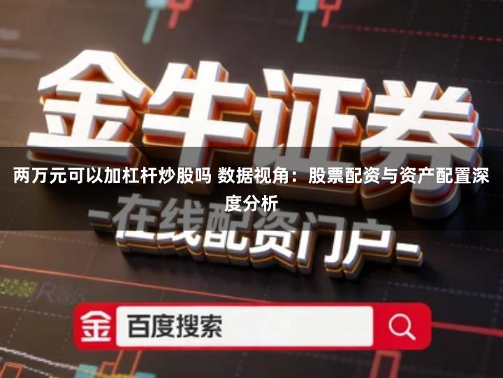 两万元可以加杠杆炒股吗 数据视角：股票配资与资产配置深度分析