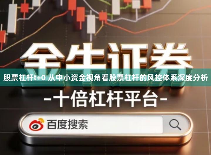 股票杠杆t+0 从中小资金视角看股票杠杆的风控体系深度分析