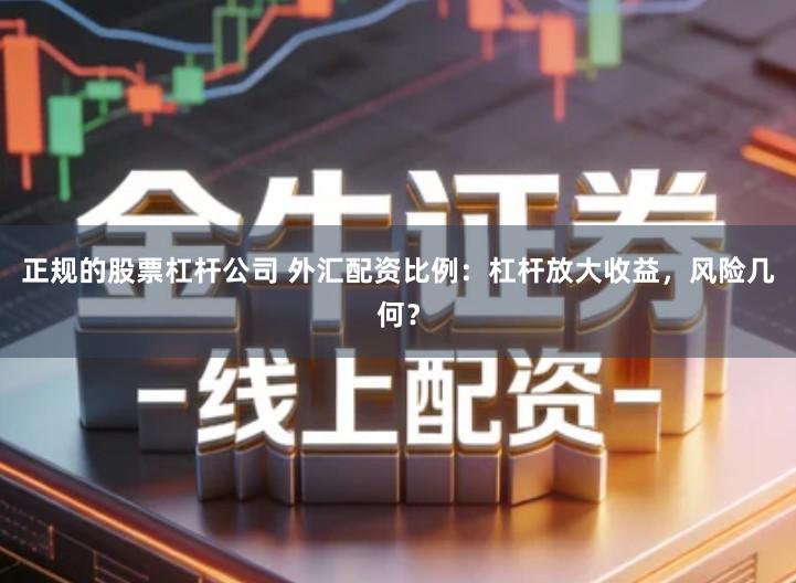 正规的股票杠杆公司 外汇配资比例：杠杆放大收益，风险几何？