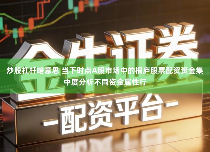 炒股杠杆啥意思 当下时点A股市场中的桐庐股票配资资金集中度分析不同资金属性行